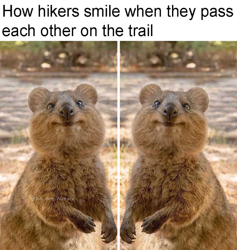 How hikers smile when they pass each other on the trail @We Are Nature