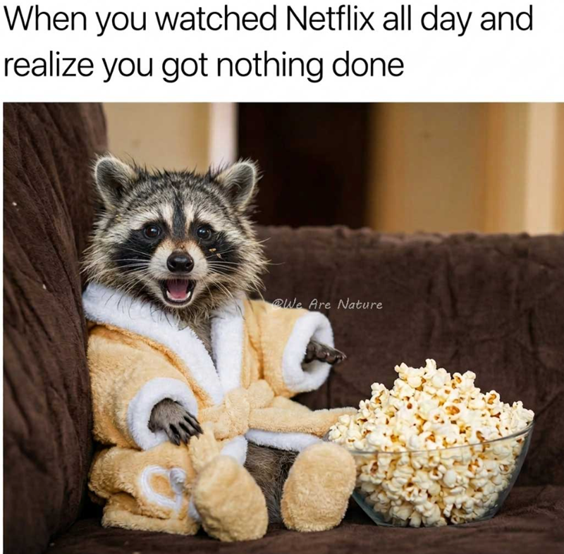 When you watched Netflix all day and realize you got nothing done We Are Nature