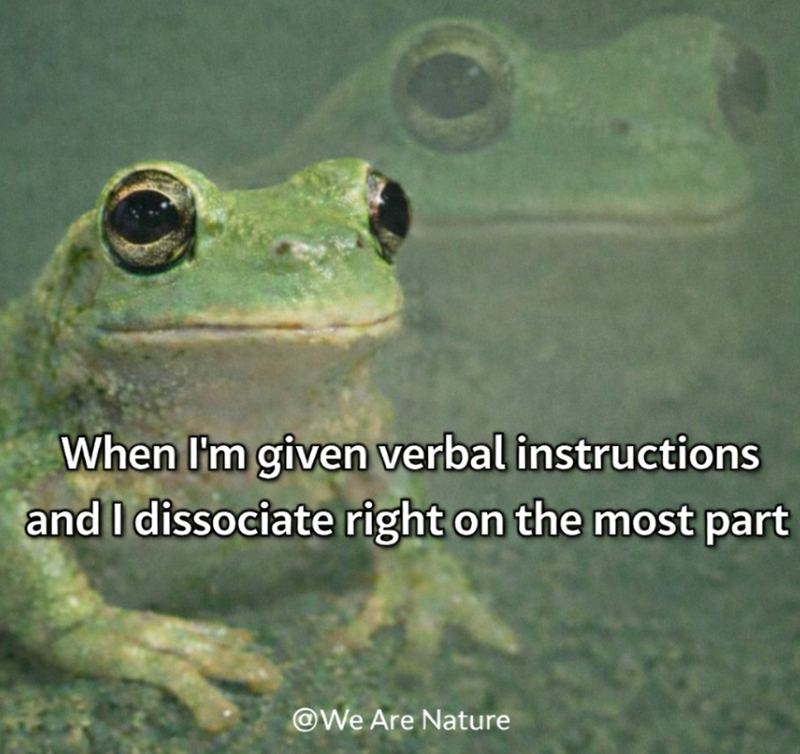 When I'm given verbal instructions and I dissociate right on the most part @We Are Nature