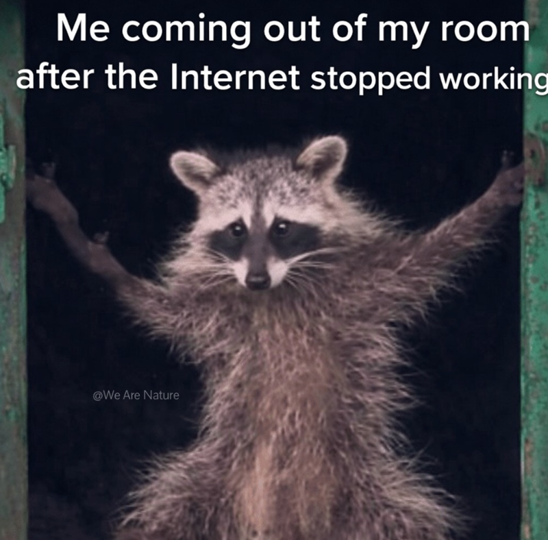 Me coming out of my room after the Internet stopped working @We Are Nature