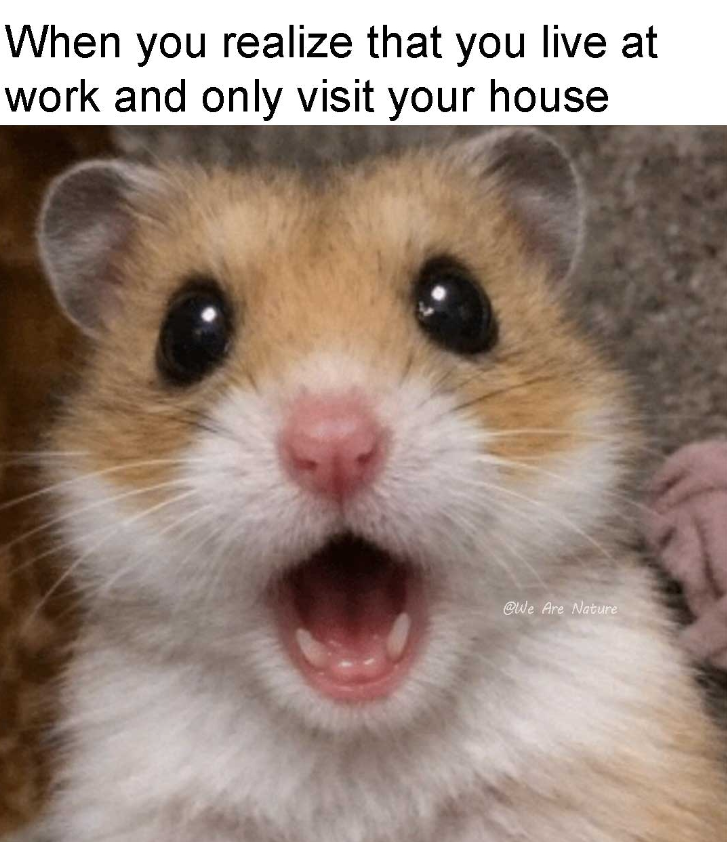 When you realize that you live at work and only visit your house @We Are Nature