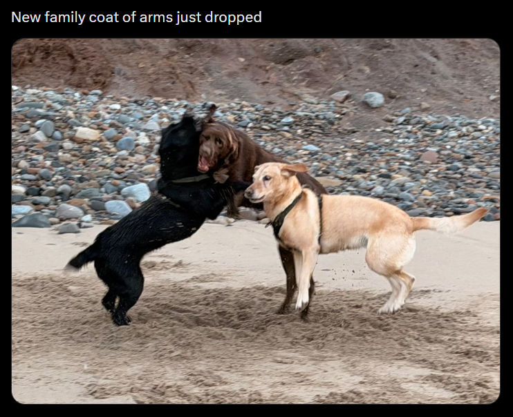 New family coat of arms just dropped