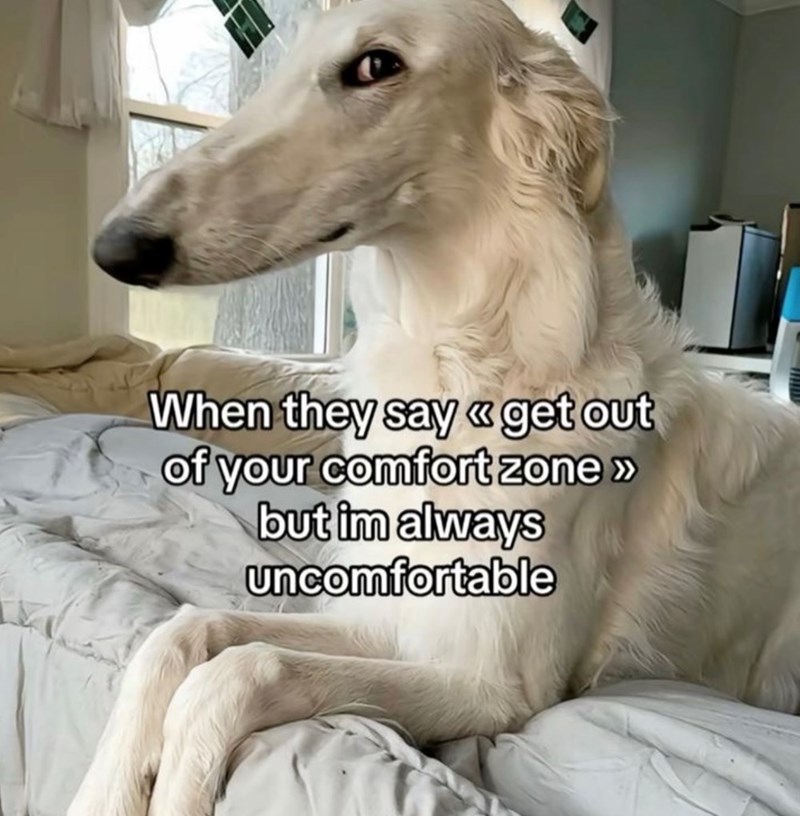 When they say << get out of your comfort zone >> but im always uncomfortable