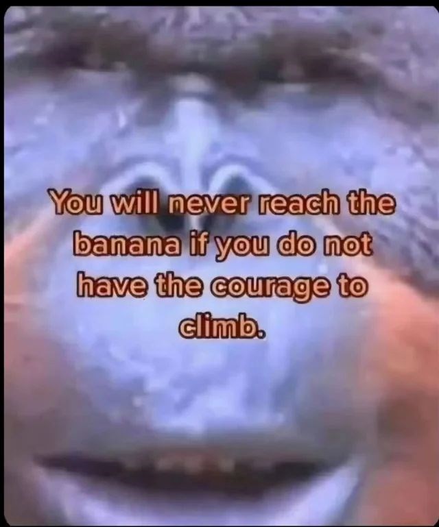 You will never reach the banana if you do not have the courage to climb.