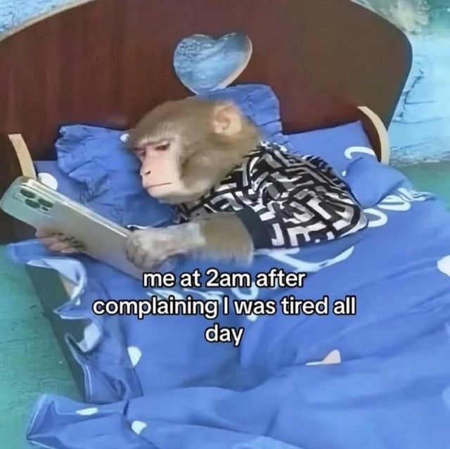 me at 2am after complaining I was tired all day