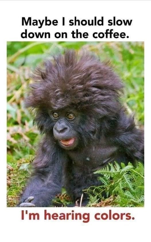 Maybe I should slow down on the coffee. I'm hearing colors.