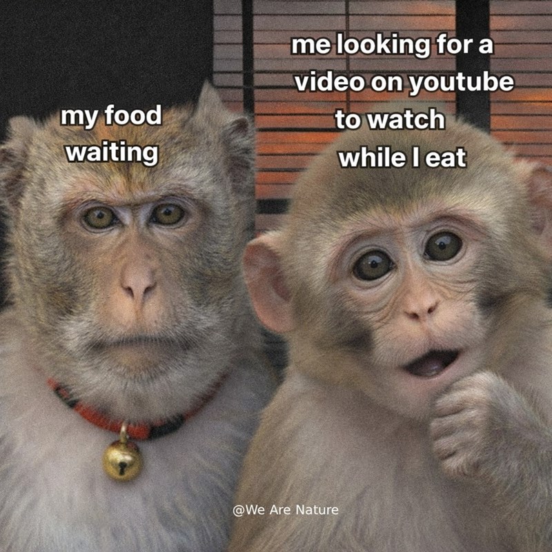 my food waiting me looking for a video on youtube to watch while I eat @We Are Nature