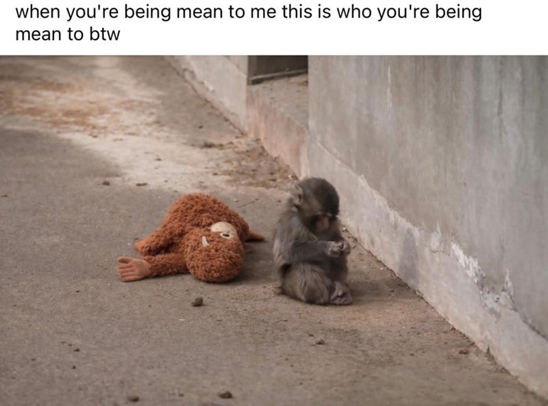 when you're being mean to me this is who you're being mean to btw