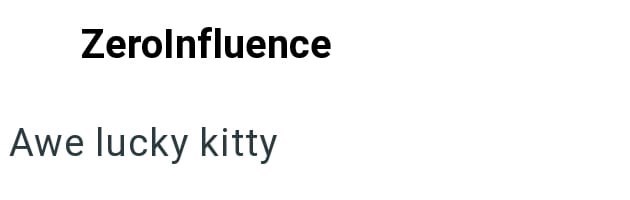 ZeroInfluence Awe lucky kitty