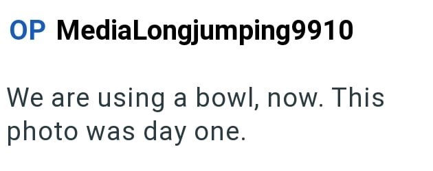 OP MediaLongjumping9910 We are using a bowl, now. This photo was day one.