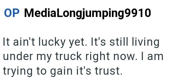 OP MediaLongjumping9910 It ain't lucky yet. It's still living under my truck right now. I am trying to gain it's trust.