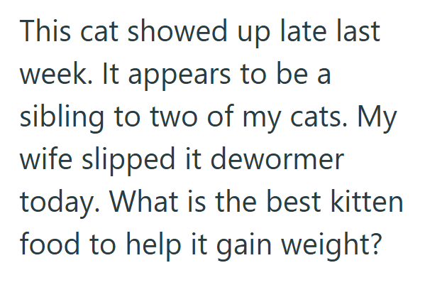 This cat showed up late last week. It appears to be a sibling to two of my cats. My wife slipped it dewormer today. What is the best kitten food to help it gain weight?