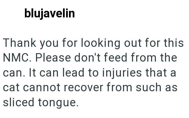 blujavelin Thank you for looking out for this NMC. Please don't feed from the can. It can lead to injuries that a cat cannot recover from such as sliced tongue.