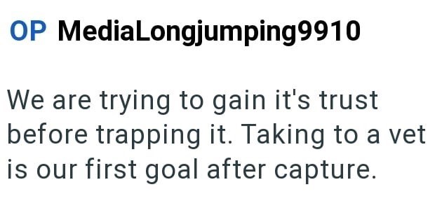 OP MediaLongjumping9910 We are trying to gain it's trust before trapping it. Taking to a vet is our first goal after capture.