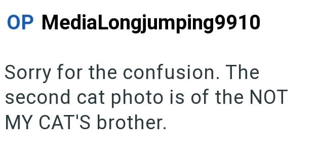 OP MediaLongjumping9910 Sorry for the confusion. The second cat photo is of the NOT MY CAT'S brother.