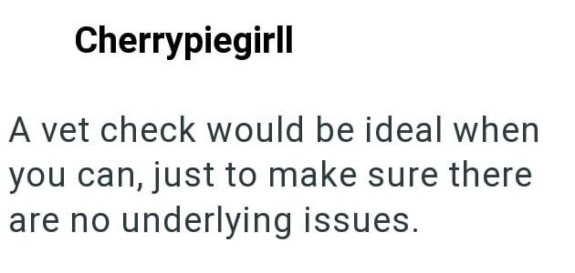 Cherrypiegirll A vet check would be ideal when you can, just to make sure there are no underlying issues.