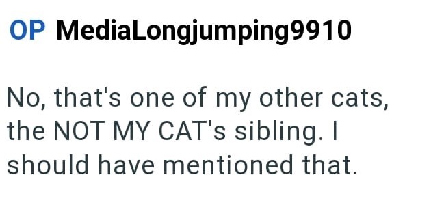 OP MediaLongjumping9910 No, that's one of my other cats, the NOT MY CAT's sibling. I should have mentioned that.