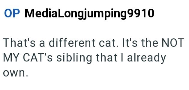 OP MediaLongjumping9910 That's a different cat. It's the NOT MY CAT's sibling that I already own.
