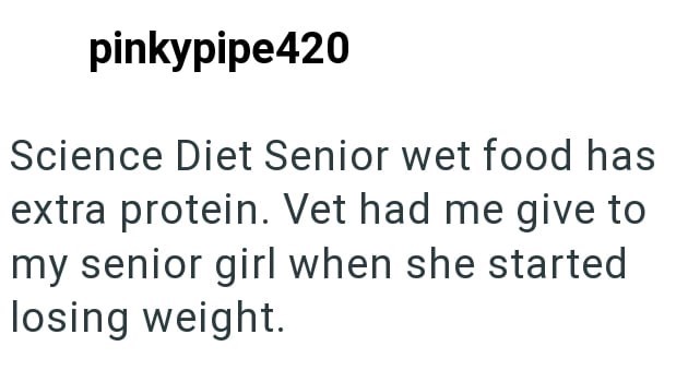 pinkypipe420 Science Diet Senior wet food has extra protein. Vet had me give to my senior girl when she started losing weight.