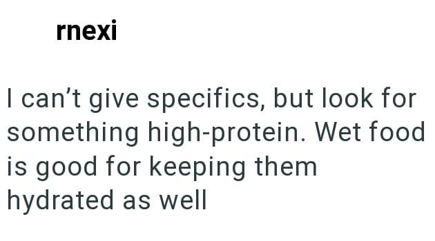 rnexi I can't give specifics, but look for something high-protein. Wet food is good for keeping them hydrated as well