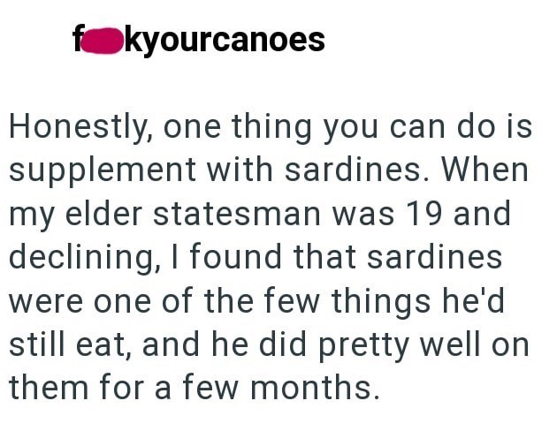 kyourcanoes Honestly, one thing you can do is supplement with sardines. When my elder statesman was 19 and declining, I found that sardines were one of the few things he'd still eat, and he did pretty well on them for a few months.