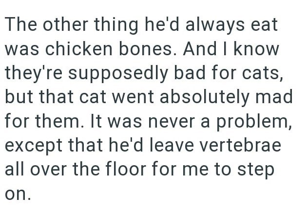 The other thing he'd always eat was chicken bones. And I know they're supposedly bad for cats, but that cat went absolutely mad for them. It was never a problem, except that he'd leave vertebrae all over the floor for me to step on.