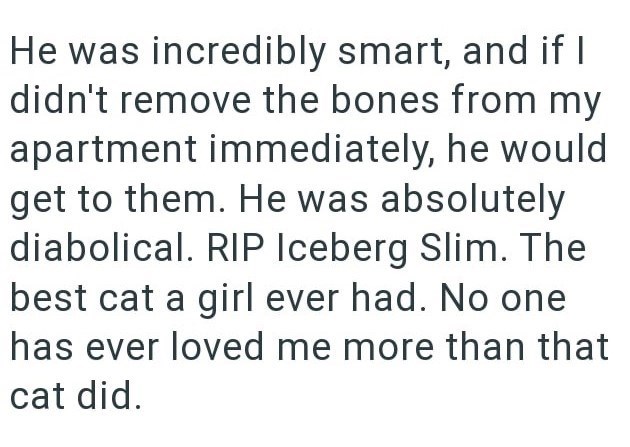 He was incredibly smart, and if I didn't remove the bones from my apartment immediately, he would get to them. He was absolutely diabolical. RIP Iceberg Slim. The best cat a girl ever had. No one has ever loved me more than that cat did.