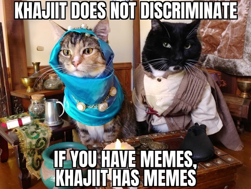KHAJIIT DOES NOT DISCRIMINATE IF YOU HAVE MEMES, KHAJIIT HAS MEMES