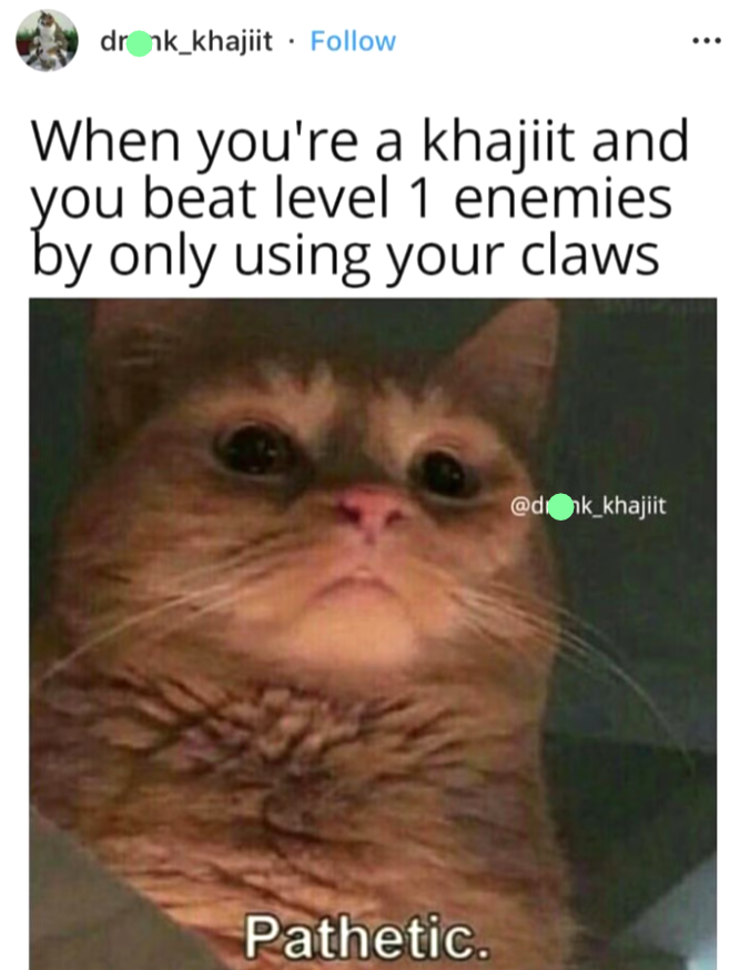 dronk_khajiit Follow . When you're a khajiit and you beat level 1 enemies by only using your claws. Pathetic. @dk_khajiit