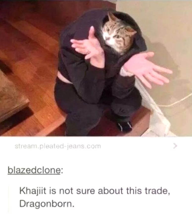 stream.pleated-jeans.com blazedclone: Khajiit is not sure about this trade, Dragonborn.