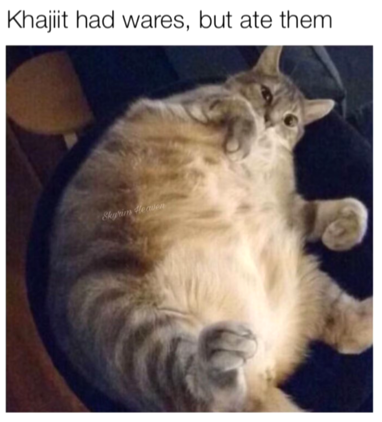 Khajiit had wares, but ate them Skyrim Heaven