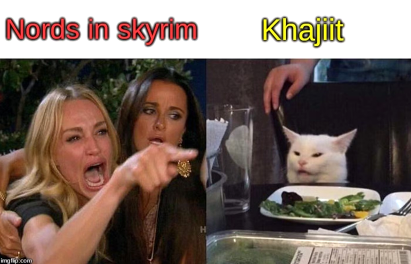 Nords in skyrim Khajiit imgflip.com