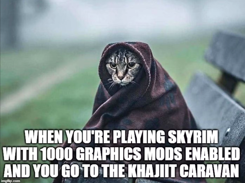 WHEN YOU'RE PLAYING SKYRIM WITH 1000 GRAPHICS MODS ENABLED AND YOU GO TO THE KHAJIIT CARAVAN imgflip.com