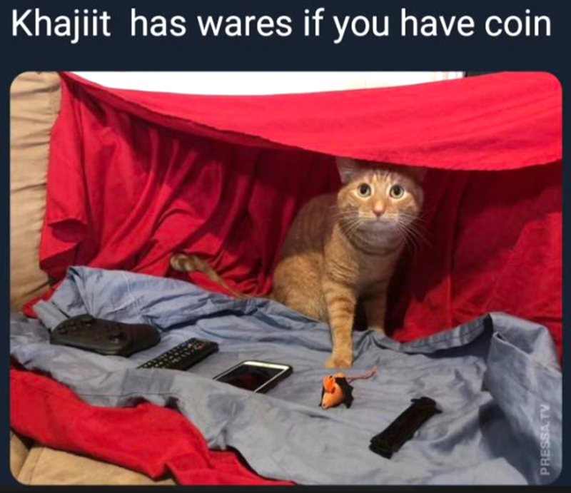Khajiit has wares if you have coin PRESSA TV