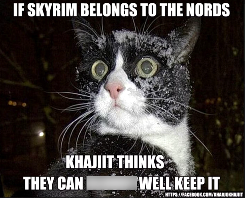 IF SKYRIM BELONGS TO THE NORDS KHAJIIT THINKS THEY CAN WELL KEEP IT HTTPS://FACEBOOK.COM/KHARJOKHAJIIT