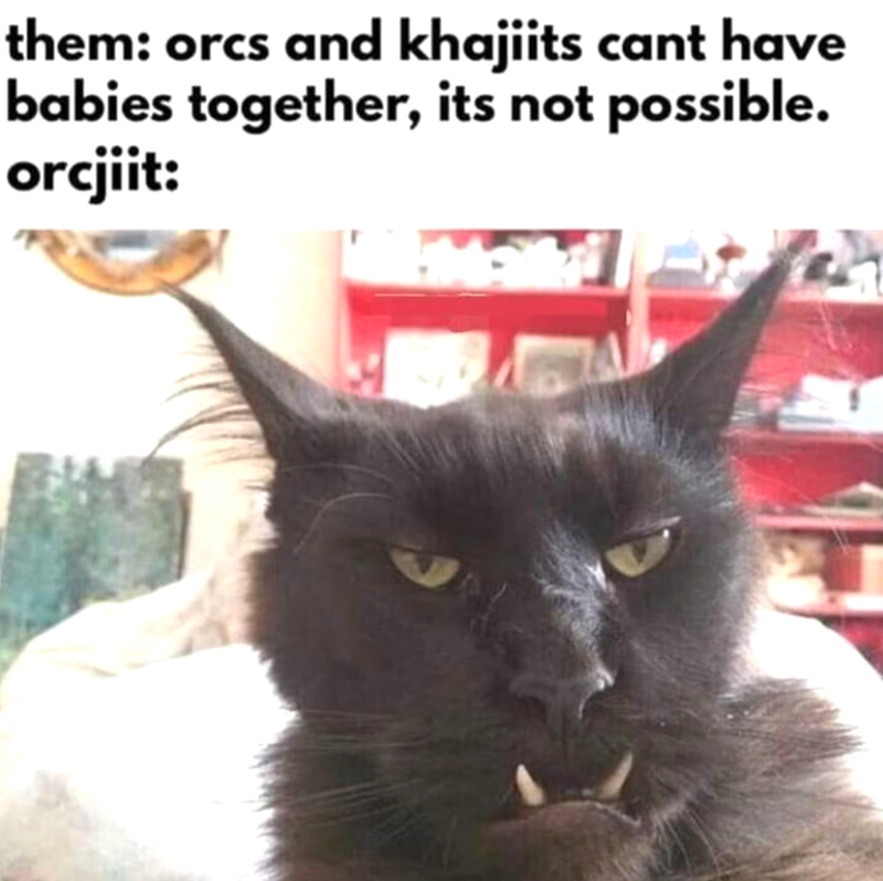 them: orcs and khajiits cant have babies together, its not possible. orcjiit: