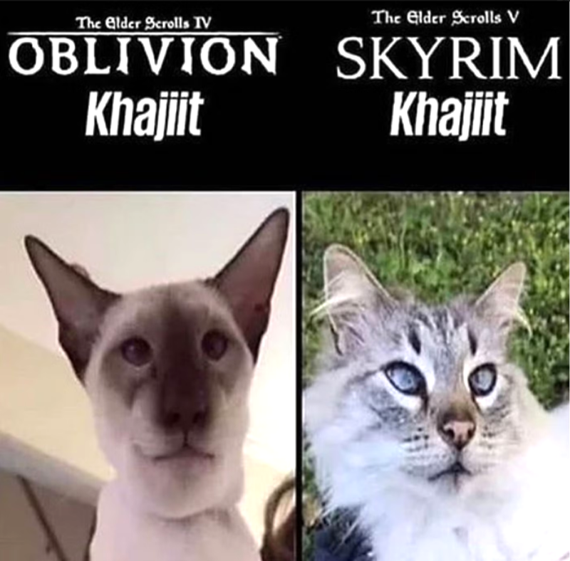 The Elder Scrolls IV OBLIVION Khajiit The Elder Scrolls V SKYRIM Khajiit