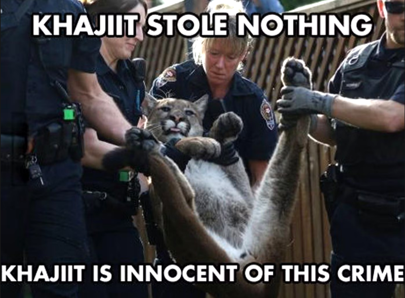 KHAJIIT STOLE NOTHING KHAJIIT IS INNOCENT OF THIS CRIME