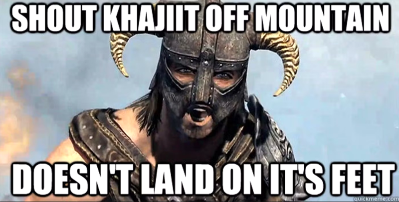 SHOUT KHAJIIT OFF MOUNTAIN DOESN'T LAND ON IT'S FEET quickmeme.com