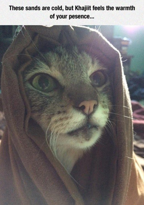These sands are cold, but Khajiit feels the warmth of your pesence...