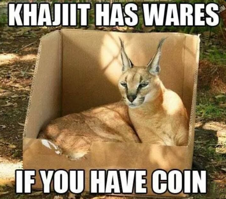 KHAJIIT HAS WARES IF YOU HAVE COIN