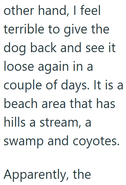 other hand, I feel terrible to give the dog back and see it loose again in a couple of days. It is a beach area that has hills a stream, a swamp and coyotes. Apparently, the