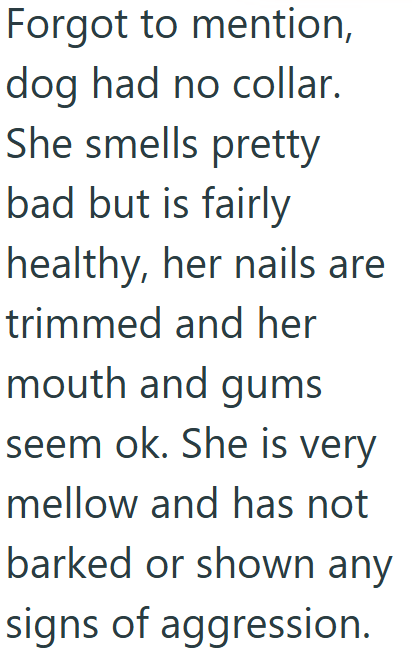 Forgot to mention, dog had no collar. She smells pretty bad but is fairly healthy, her nails are trimmed and her mouth and gums seem ok. She is very mellow and has not barked or shown any signs of aggression.