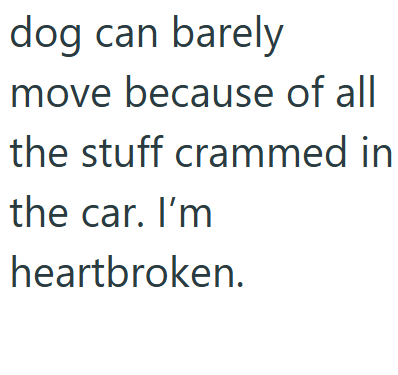 dog can barely move because of all the stuff crammed in the car. I'm heartbroken.
