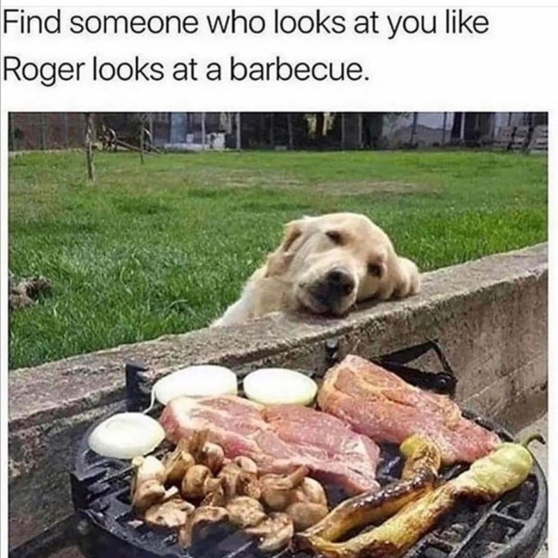 Find someone who looks at you like Roger looks at a barbecue.