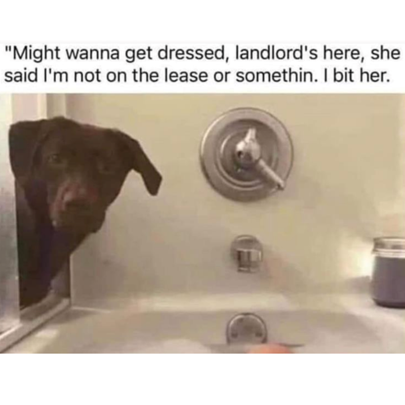 "Might wanna get dressed, landlord's here, she said I'm not on the lease or somethin. I bit her.
