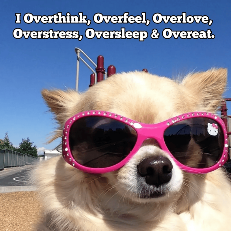 I Overthink, Overfeel, Overlove, Overstress, Oversleep & Overeat.