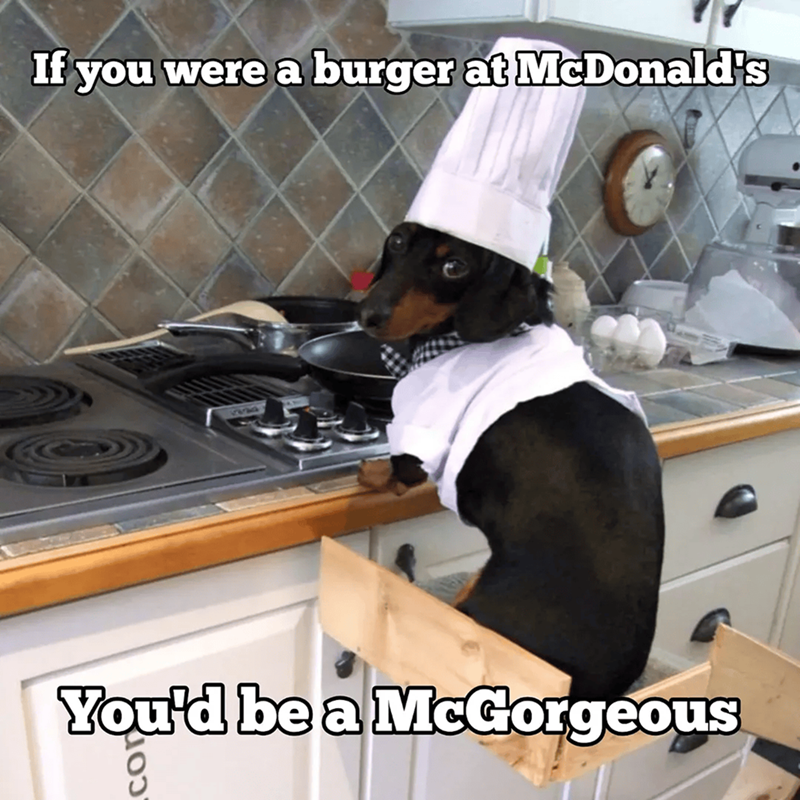 If you were a burger at McDonald's You'd be a McGorgeous