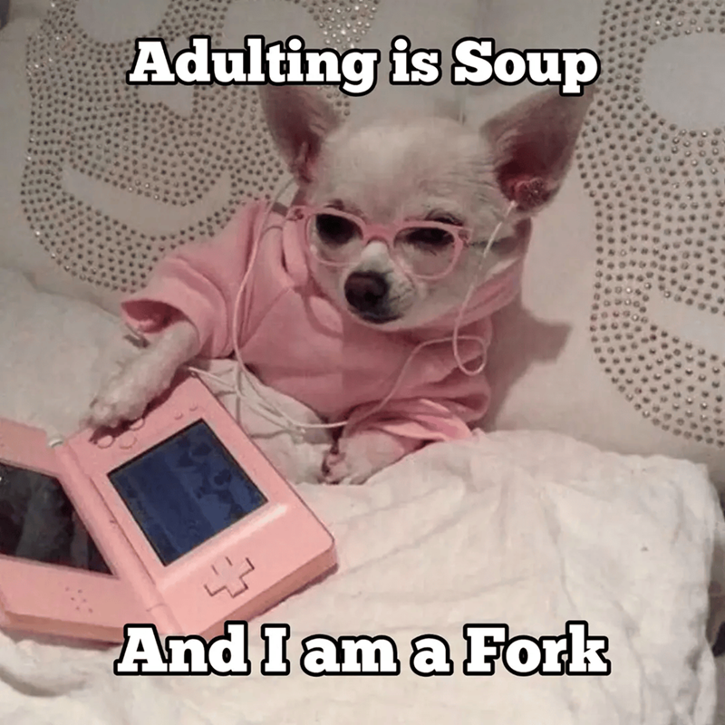 Adulting is Soup And I am a Fork