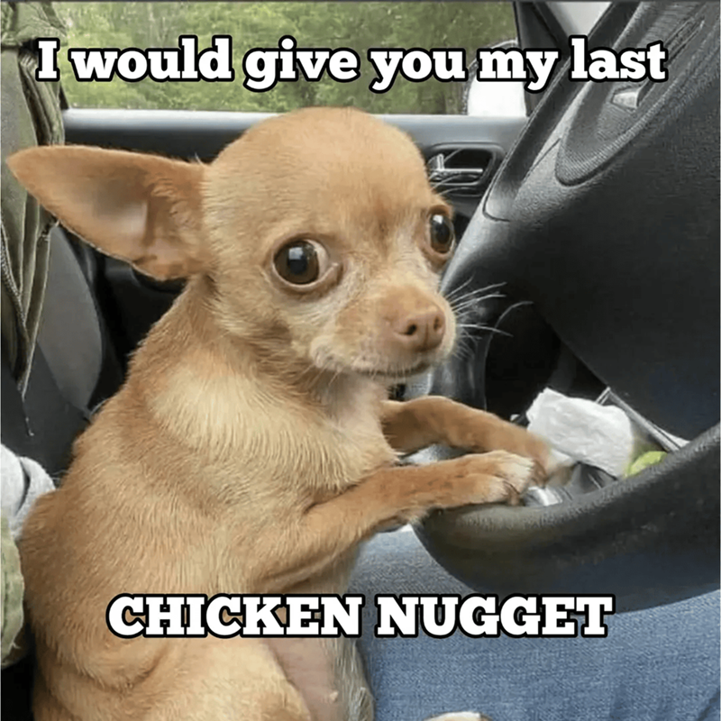 I would give you my last CHICKEN NUGGET